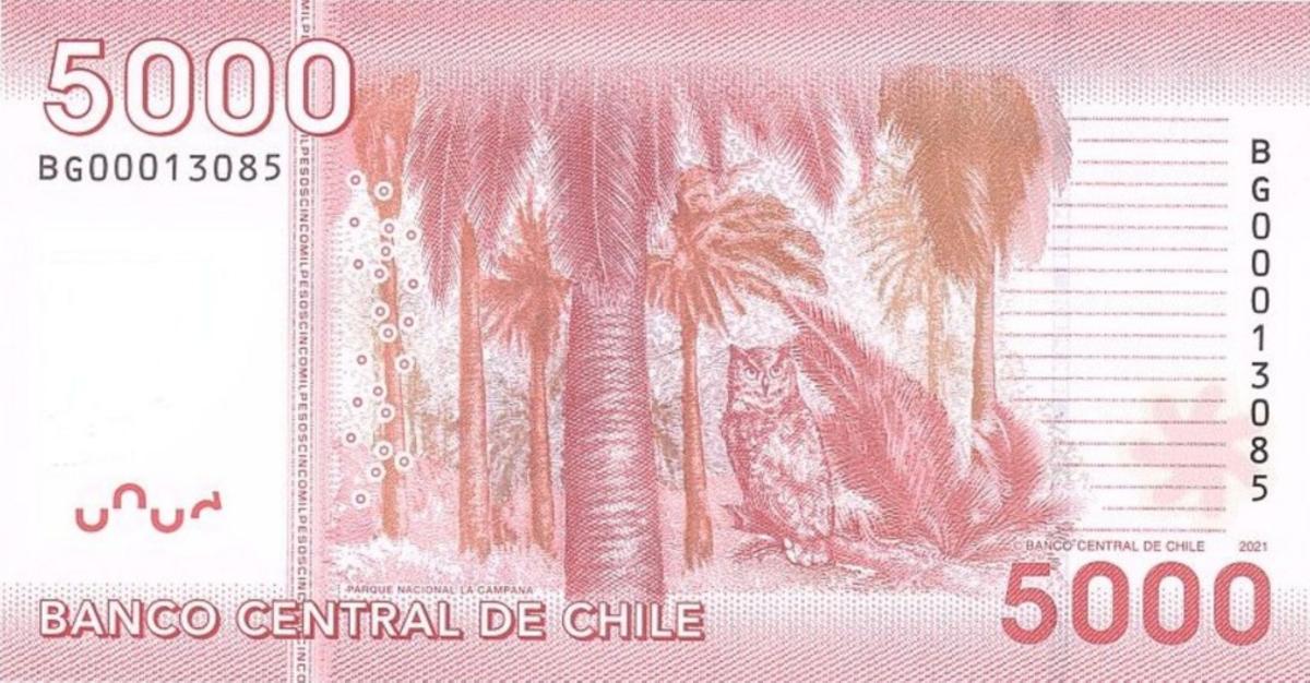 Back of Chile p163h: 5000 Pesos from 2021