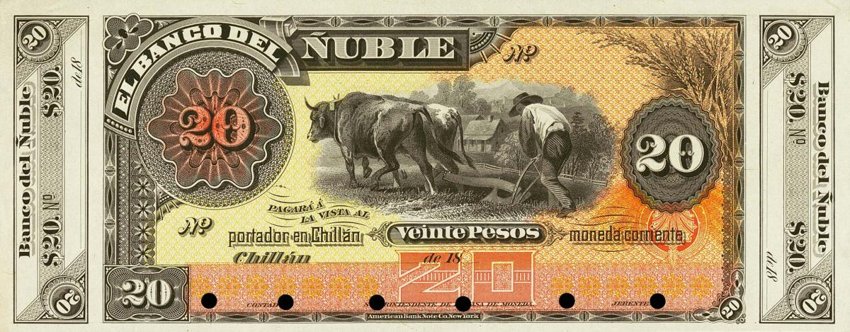 Front of Chile pS345p: 20 Pesos from 1888