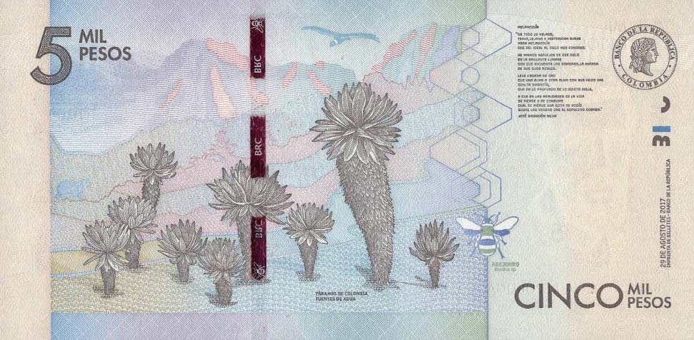 Back of Colombia p459c: 5000 Pesos from 2017