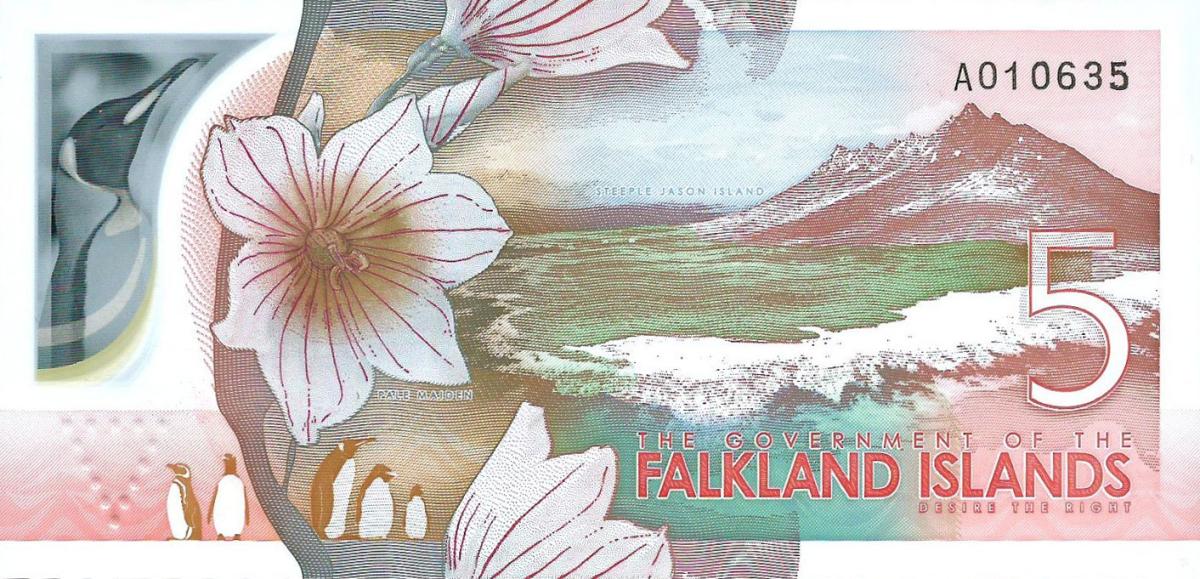 Back of Falkland Islands p20: 5 Pounds from 2025