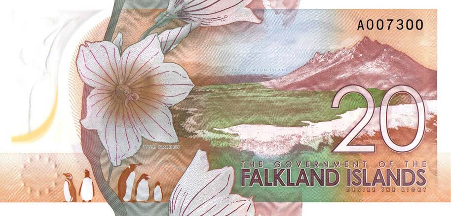 Back of Falkland Islands p22: 20 Pounds from 2025