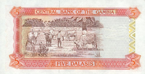 Back of Gambia p20a: 5 Dalasis from 2001