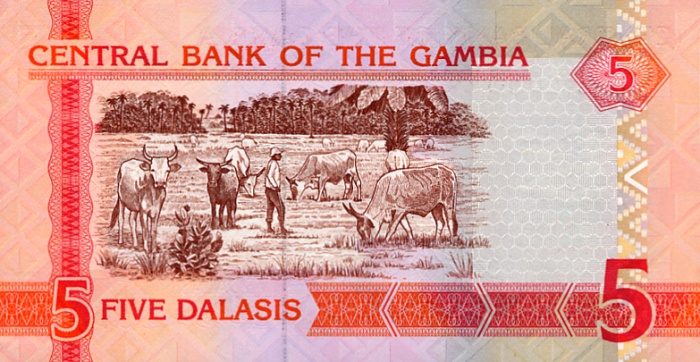 Back of Gambia p25a: 5 Dalasis from 2006