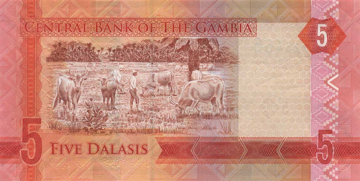 Back of Gambia p31: 5 Dalasis from 2015