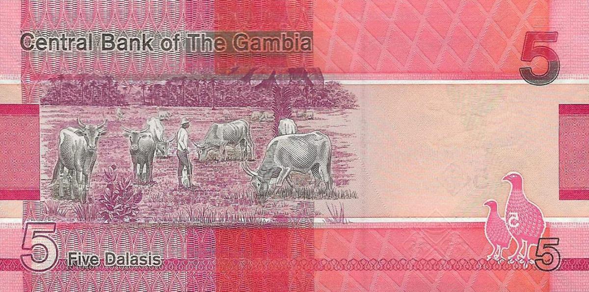 Back of Gambia p37b: 5 Dalasis from 2020