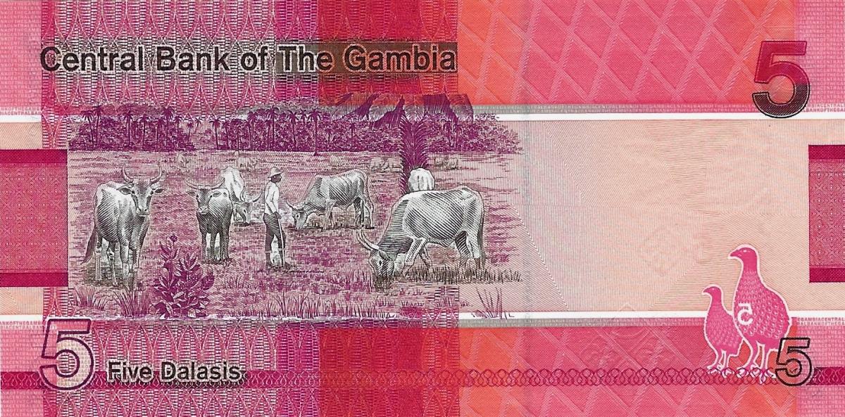 Back of Gambia p37c: 5 Dalasis from 2023