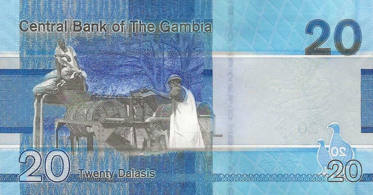 Back of Gambia p39b: 20 Dalasis from 2020