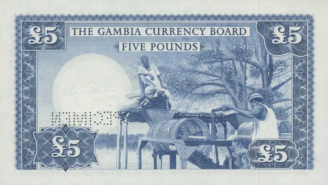 Back of Gambia p3s: 5 Pounds from 1965