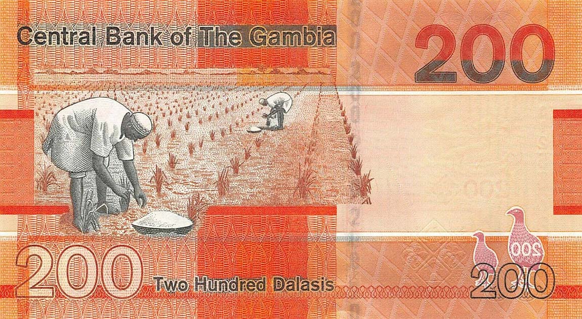 Back of Gambia p42a: 200 Dalasis from 2019