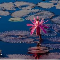 Profile image for Zempty