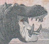 Profile image for prasohroch