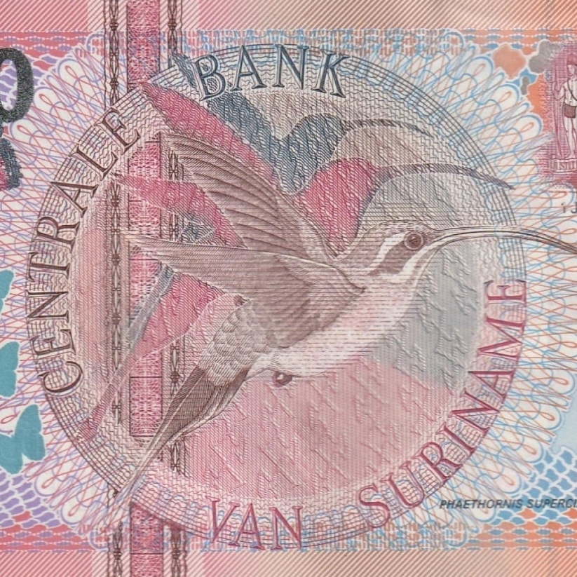 Collection Banknotes from South America